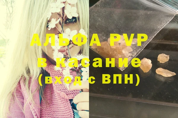 гашик Новокубанск