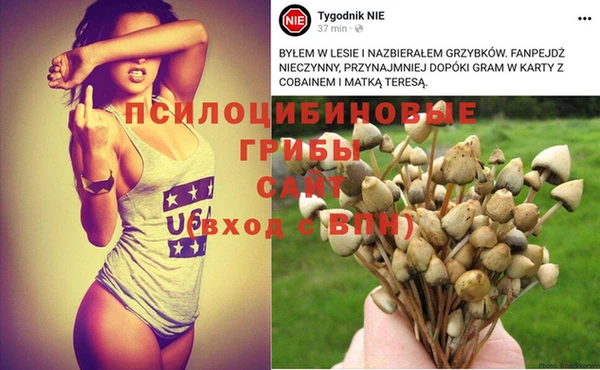 амф Няндома