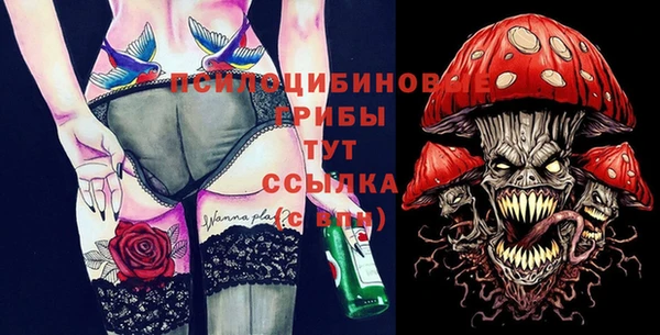 молекула духа Нягань