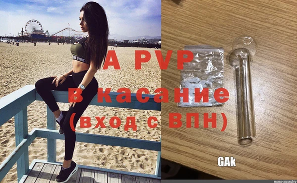 гашик Новокубанск
