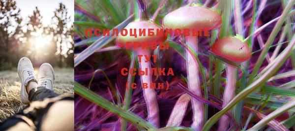 молекула духа Нягань