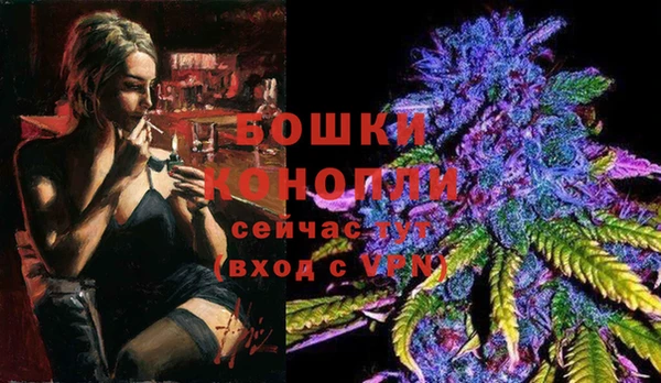 молекула духа Нягань