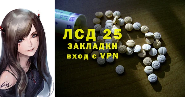 a pvp Новозыбков
