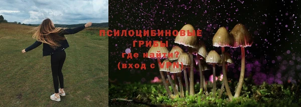 амф Няндома