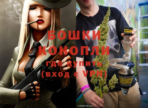 амф Няндома